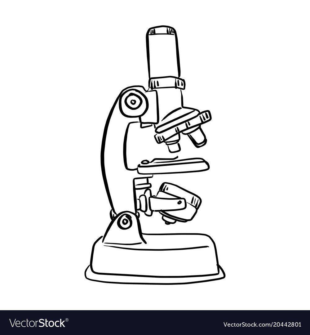 Микроскоп рисунок картинка