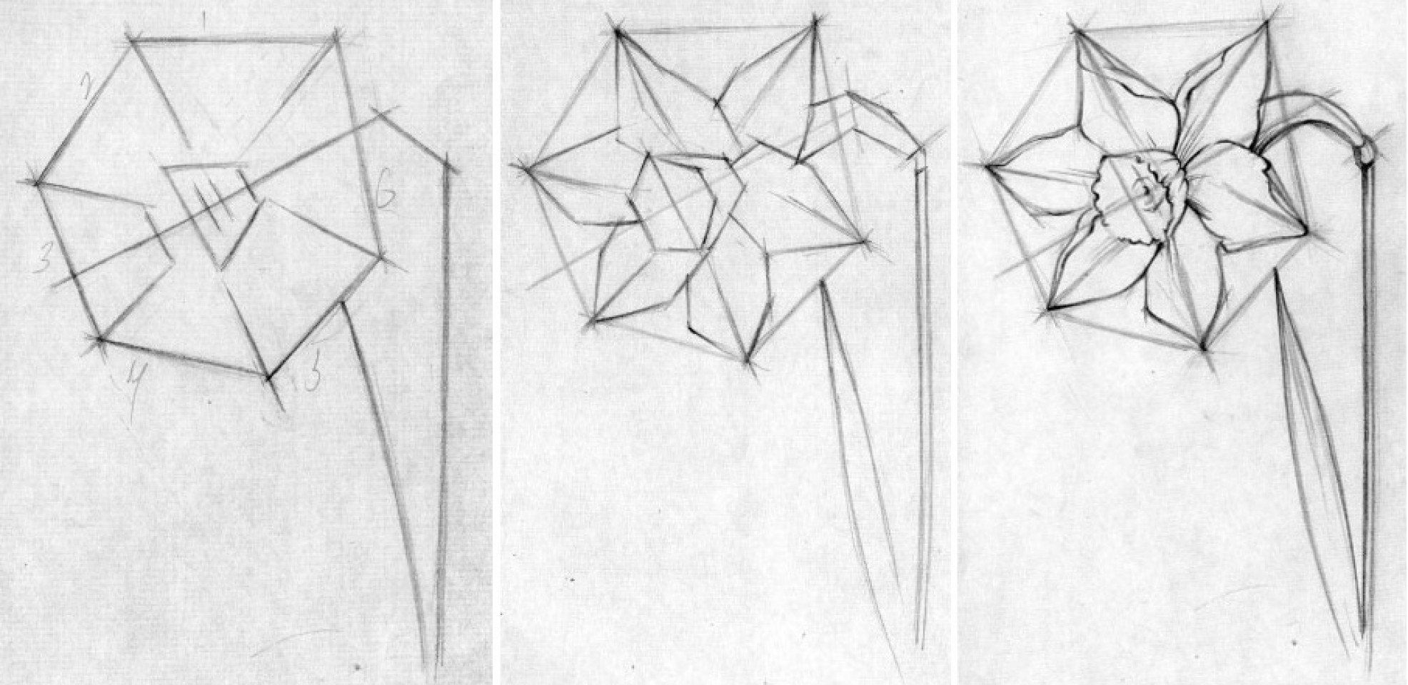 Эскизы цветов для рисования карандашом поэтапно для начинающих