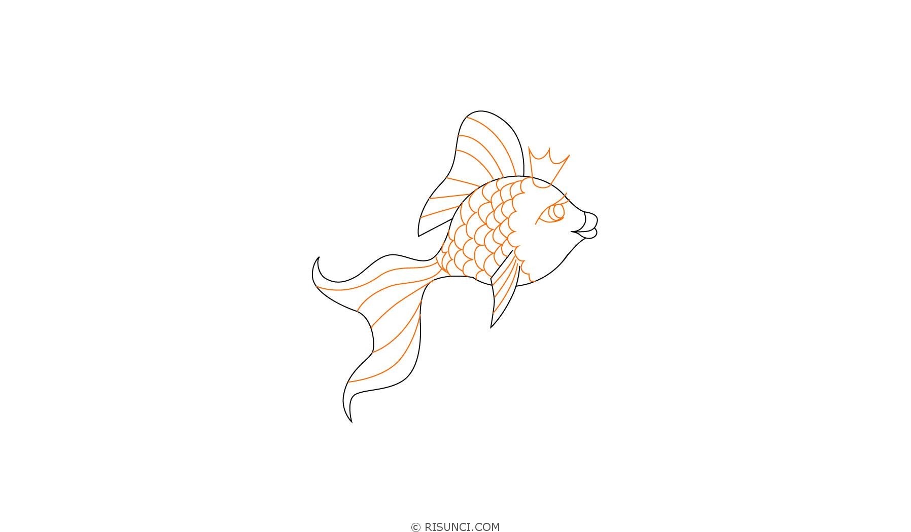 золотая рыбка картинки карандашом