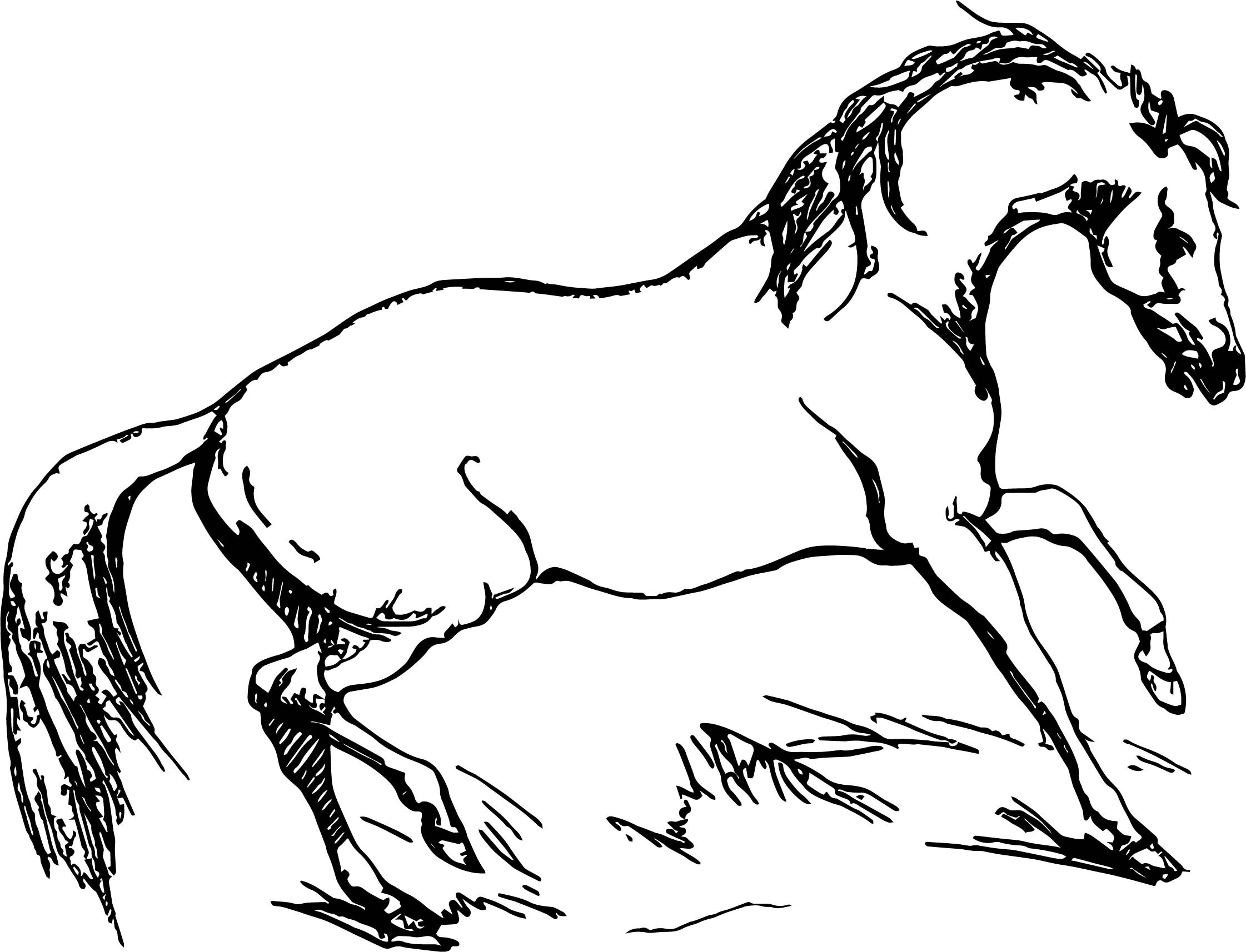 Паустовский лошадь. Раскраска. Лошади. Раскраска конь. Раскраска лошадь с красивой гривой. Грива коня.