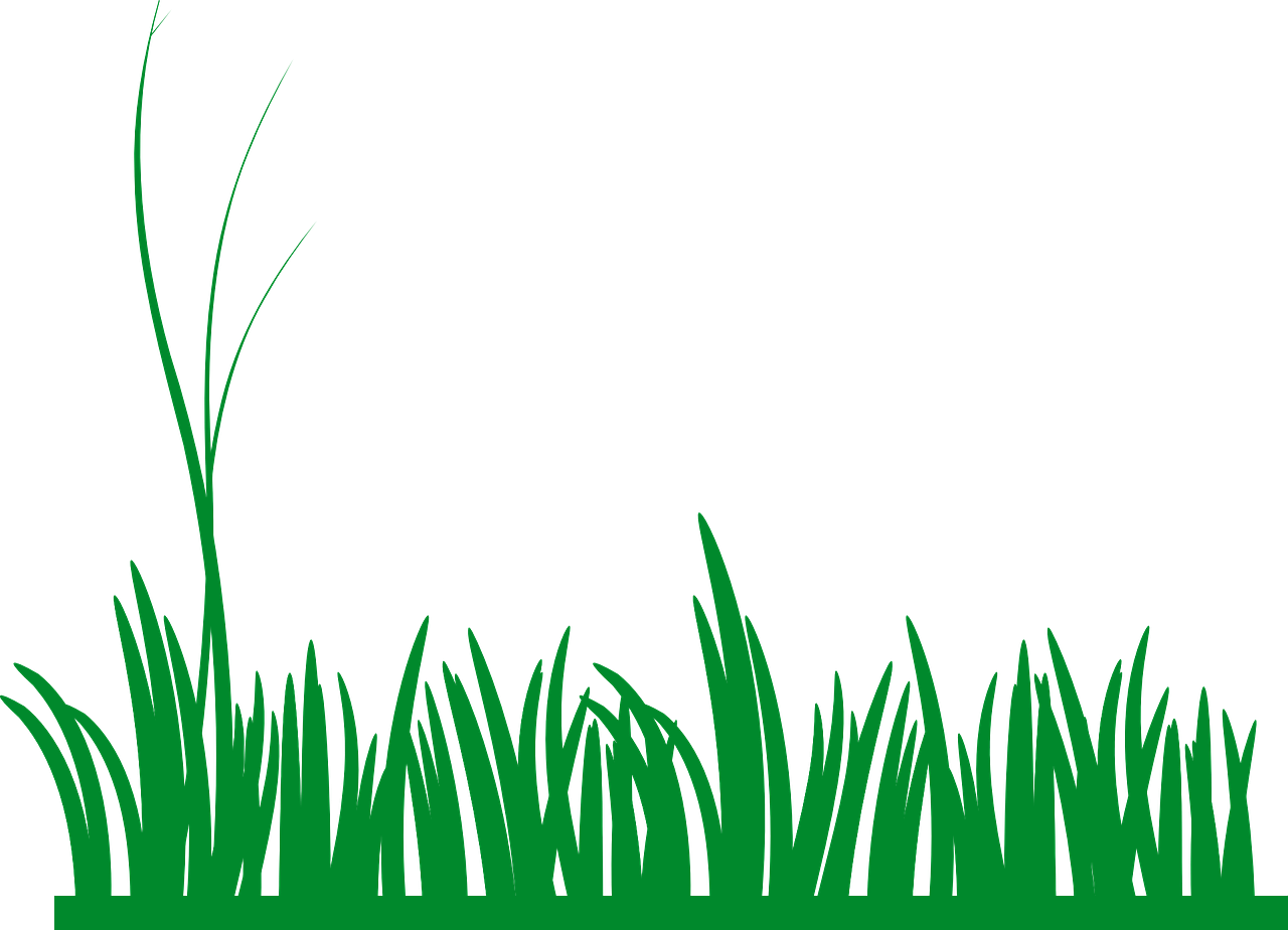 Трава нарисованная для детей. Трава рисунок. Трава вектор. Трава нарисованная. Стилизованная трава.