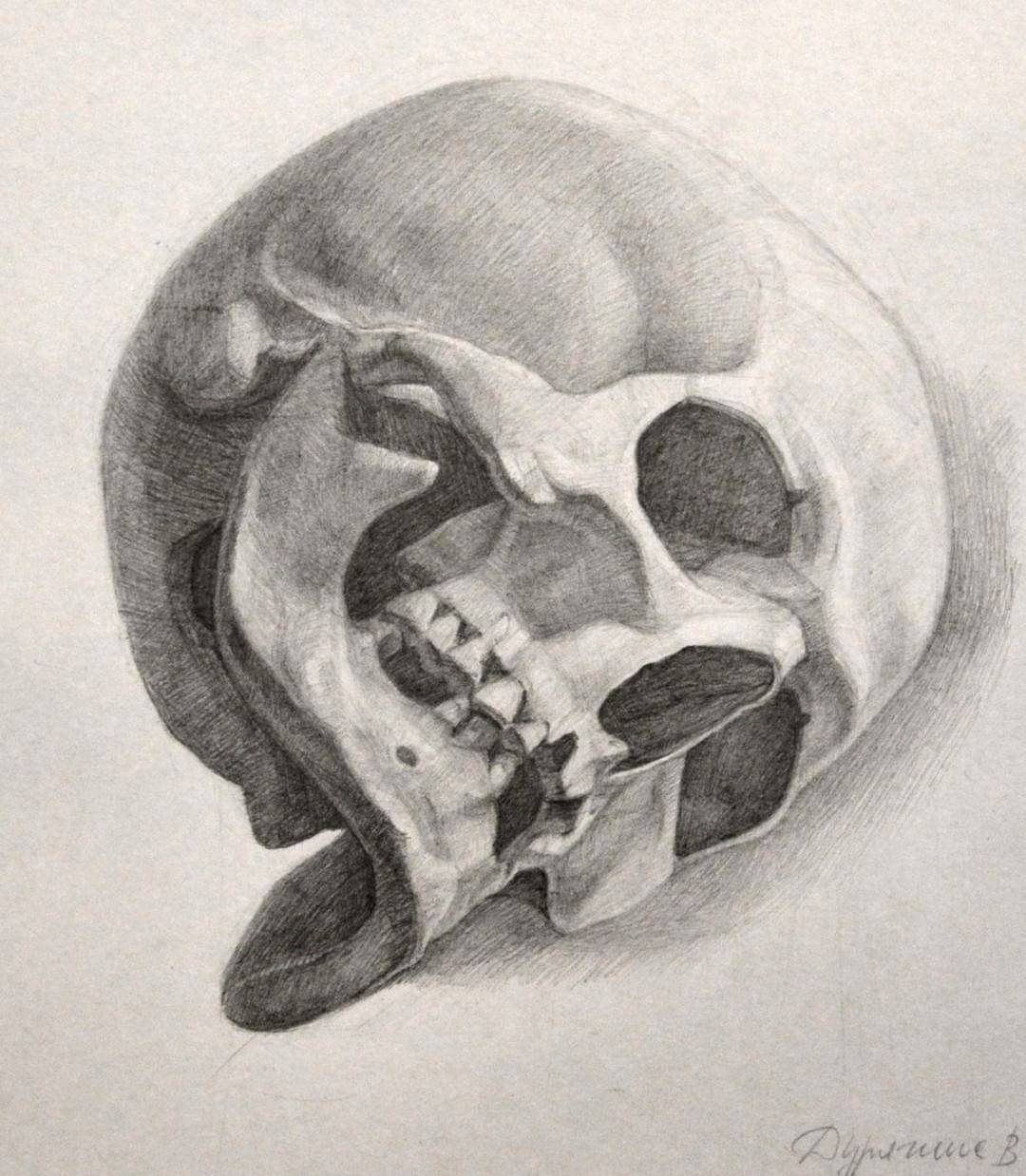 Череп ли. Академическое рисование черепа. Череп Академический рисунок. Плоскостной череп. Академический череп ракурсы.