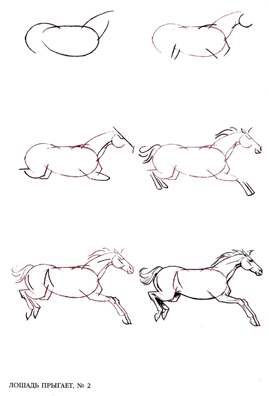 Рисуем лошадь поэтапно. Пошаговое рисование лошади. Лошадь карандашом. Лошадь рисунок карандашом. Лошадь рисунок карандашом поэтапно.