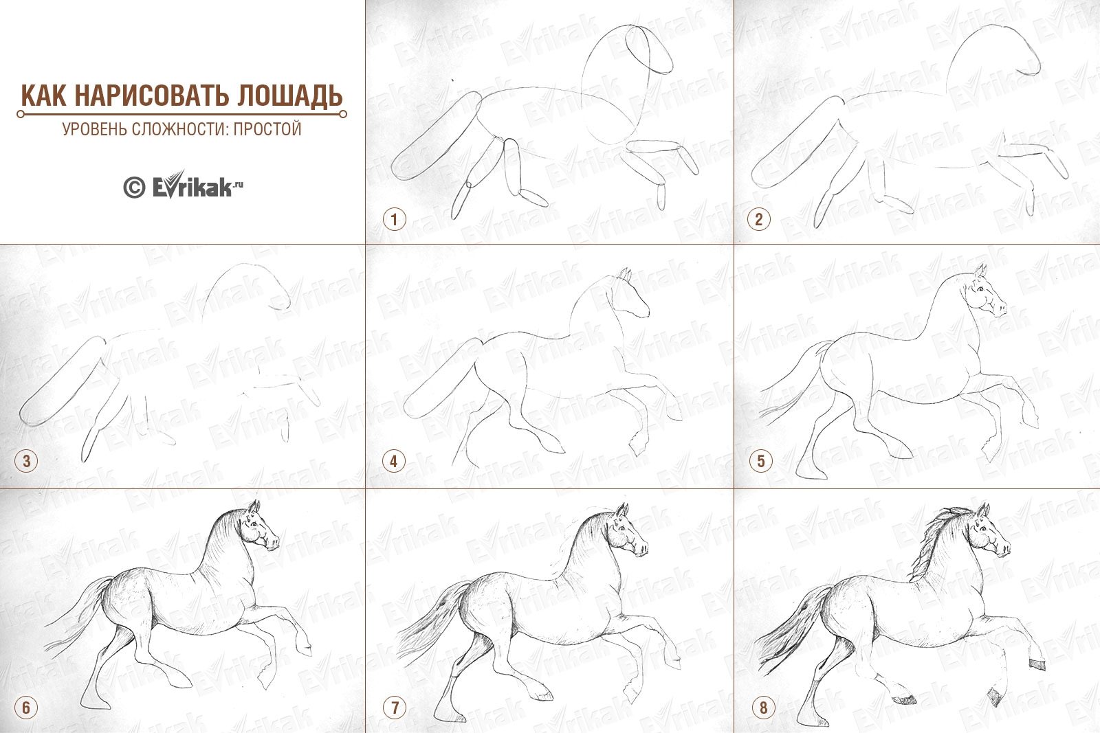 Рисунок лошади 4 класс