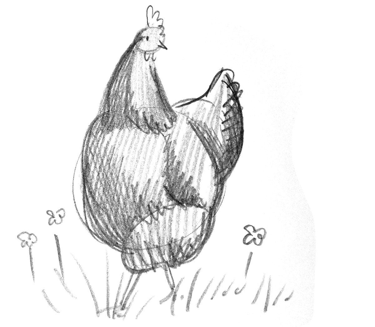 Курица легко и быстро. Курица набросок. Курица рисунок карандашом. Курица скетч. Рисунок курицы карандашом для срисовки.