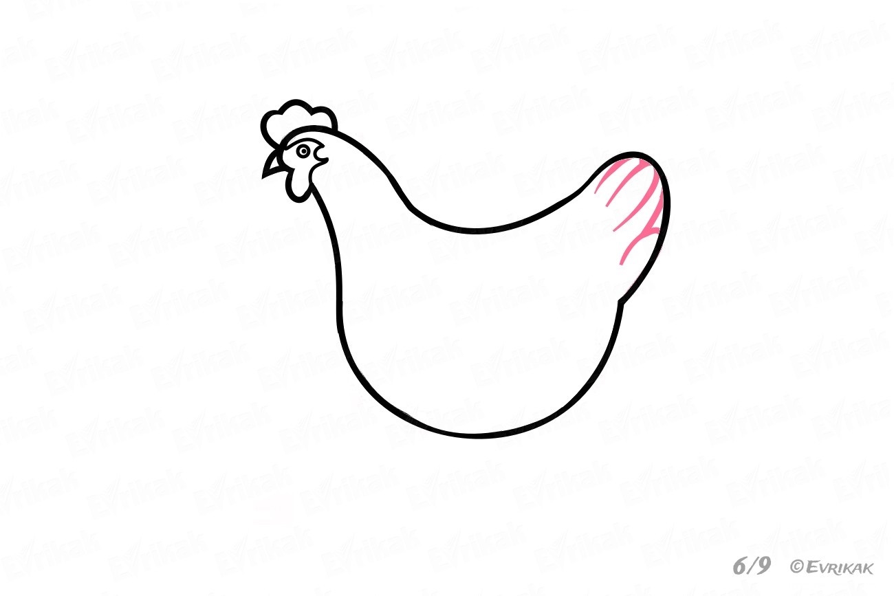 Курица легко и быстро. Курица шаблон для рисования. Шаблон курочки. Курочка рисунок карандашом. Хвост курочки шаблон.