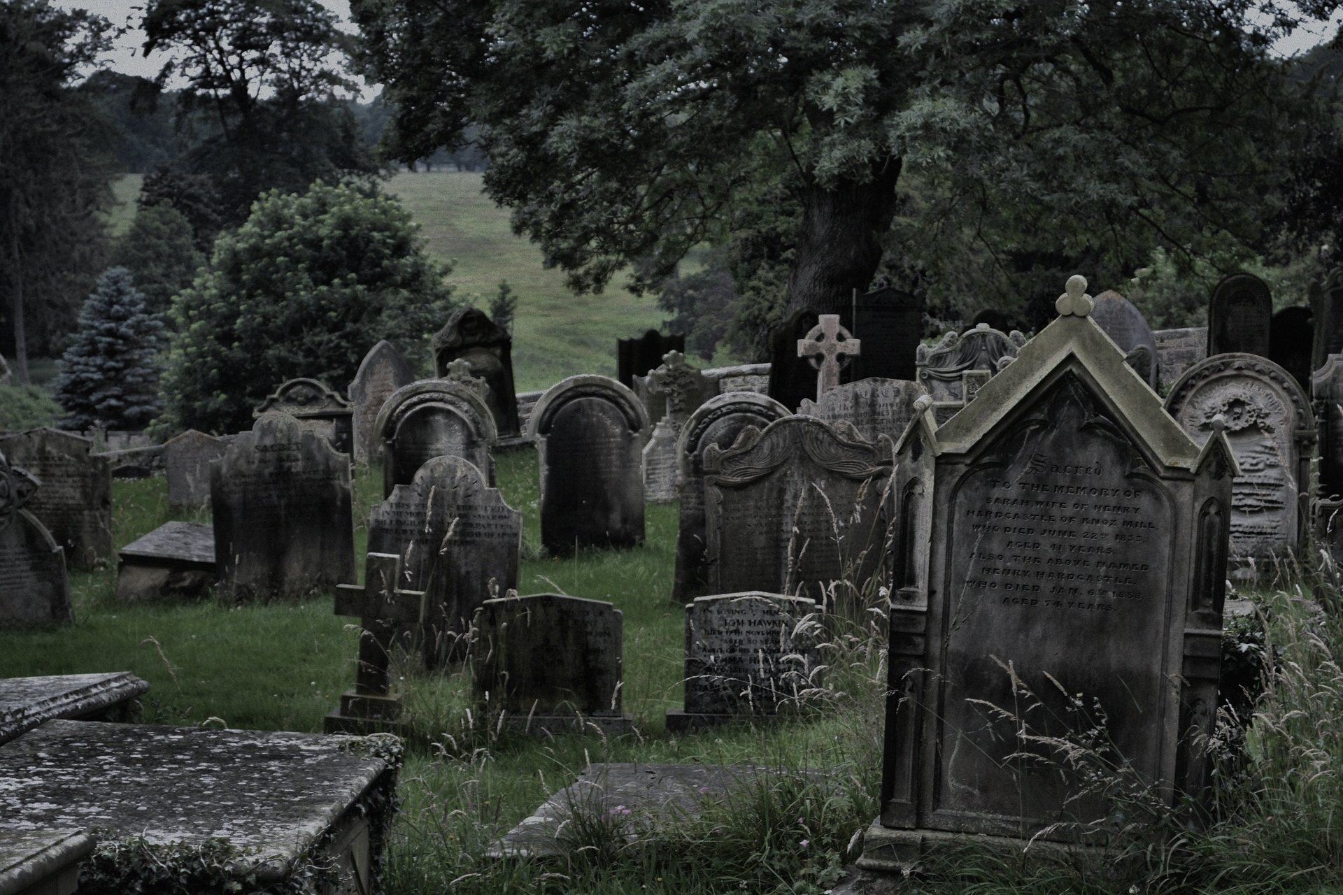 Старинные кладбища. Кладбище Грейфраерс склеп кровавого Джона. Ольшанское католическое кладбище. Надгробная плита заброшенное кладбище. Кладбищенские статуи Готика.
