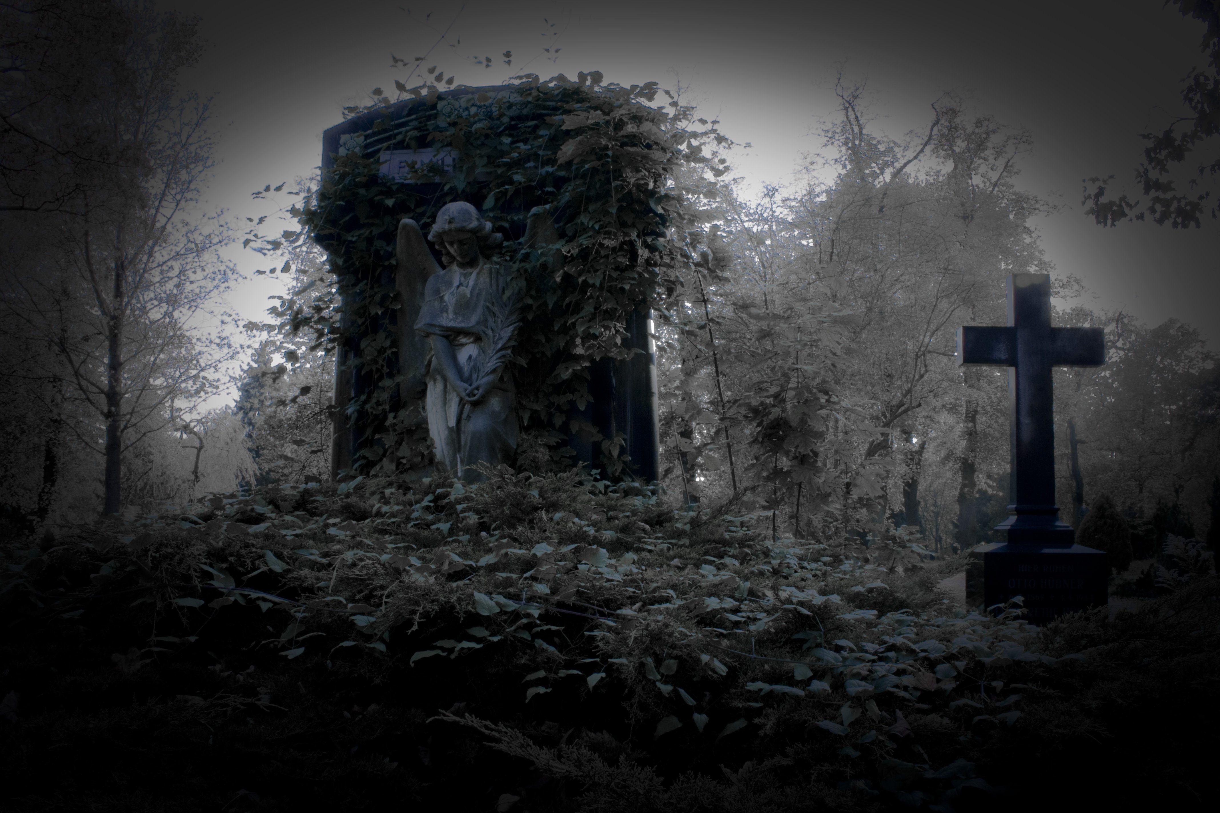 Смерть загородного. Мрачное кладбище. Мистическое кладбище. Мрачный лес кладбище.