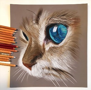 Нарисованные животные цветными карандашами