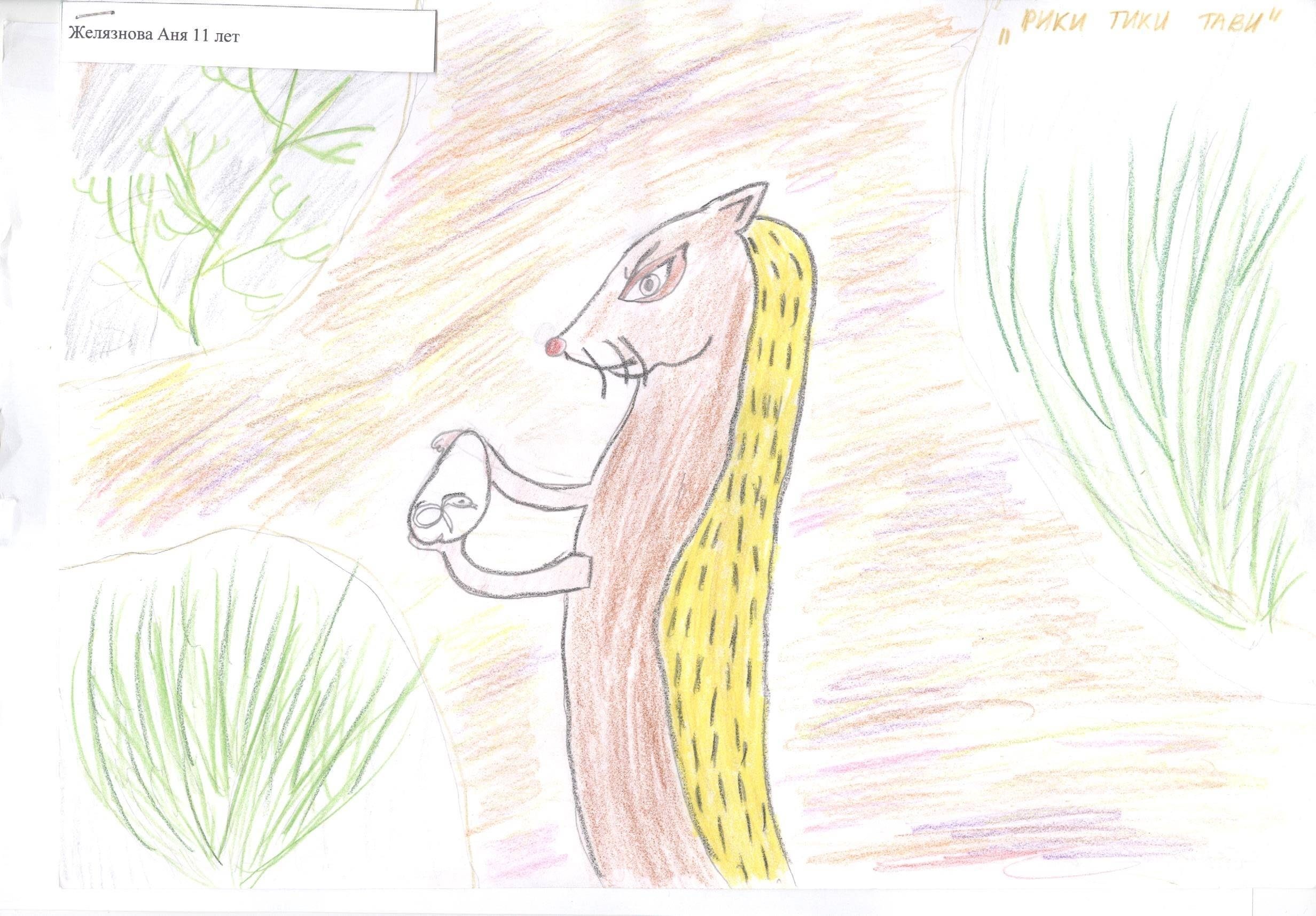 Рики тики тави читательский дневник. Нарисовать иллюстрацию к сказке Рики Тики Тави. Рисование Рики Тики Тави. Иллюстрации детские Рикки Тикки Тави к сказке. Нарисовать Рики Тики Тави.
