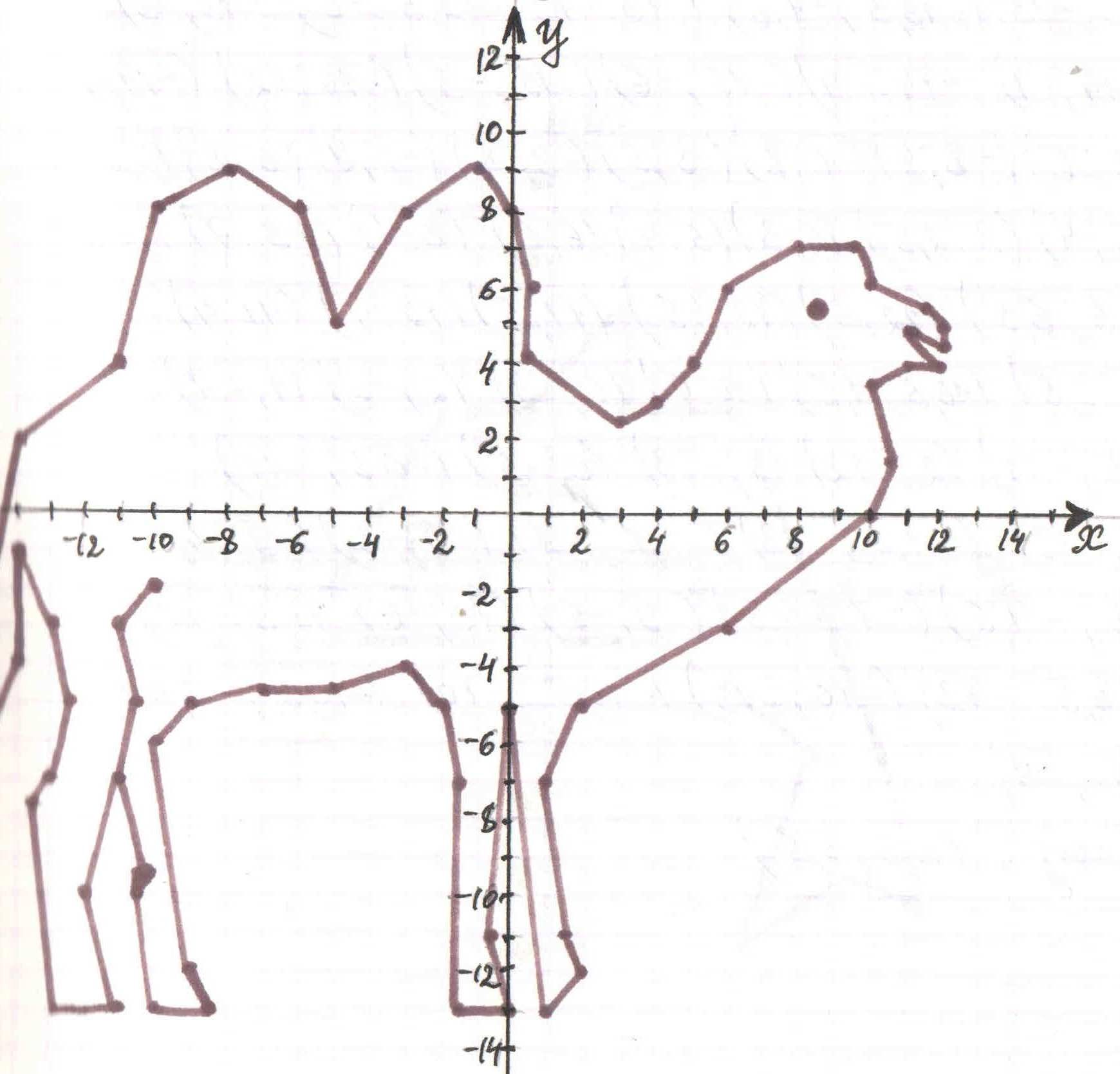 Координатная плоскость рисунки животных верблюд
