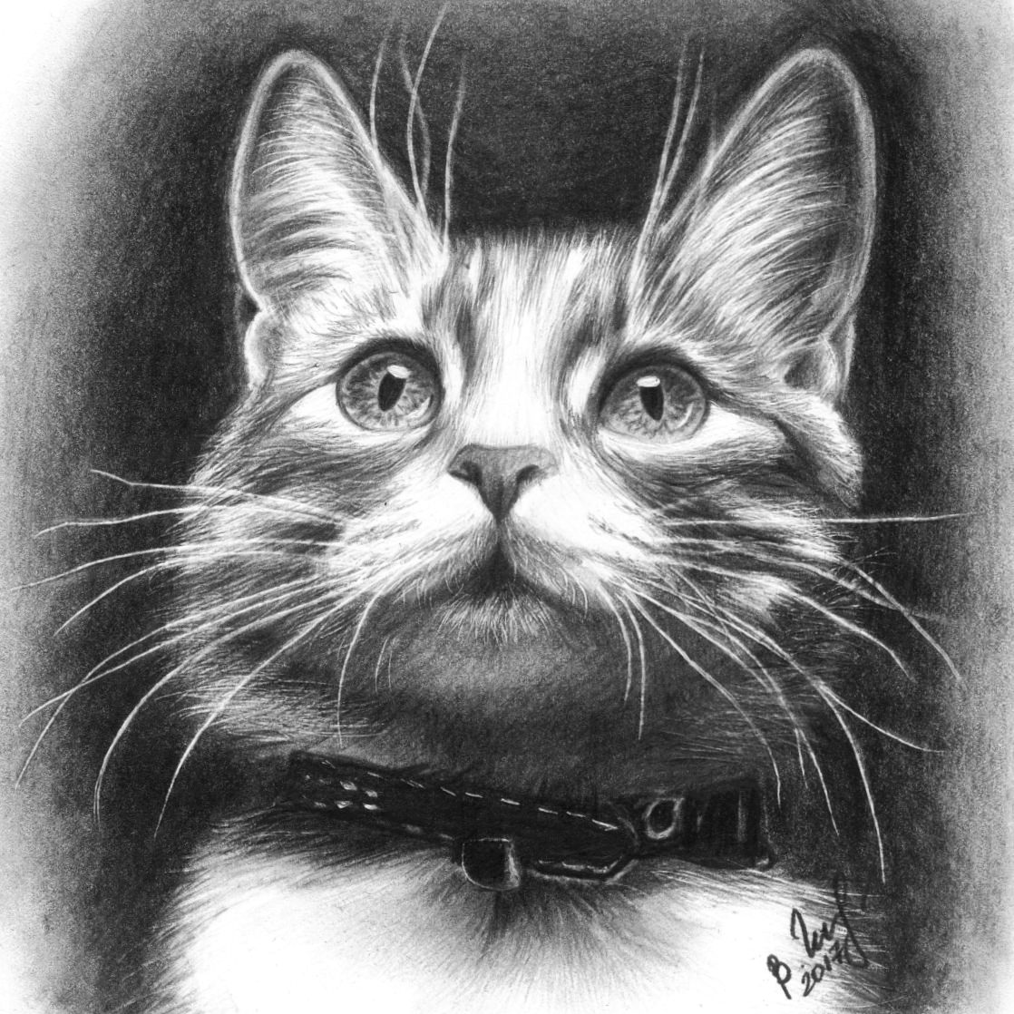 Pencil cats. Кошка карандашом. Кошка рисунок карандашом. Портрет кошки карандашом. Кошка Графика.