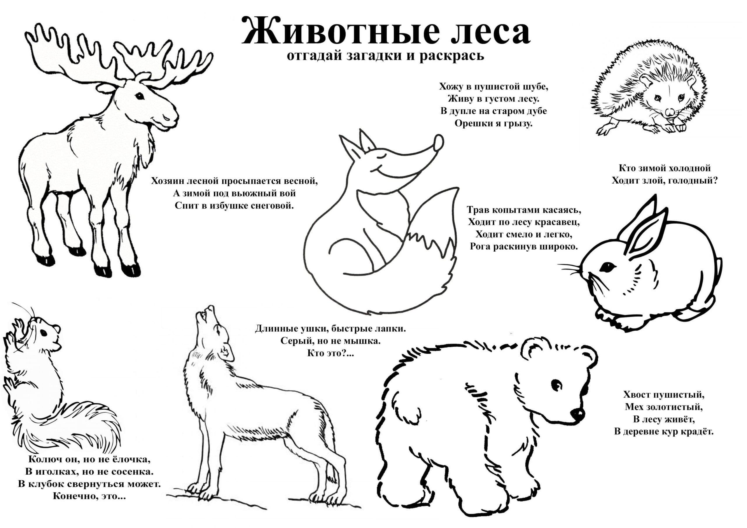 Технологическая карта на тему дикие и домашние животные