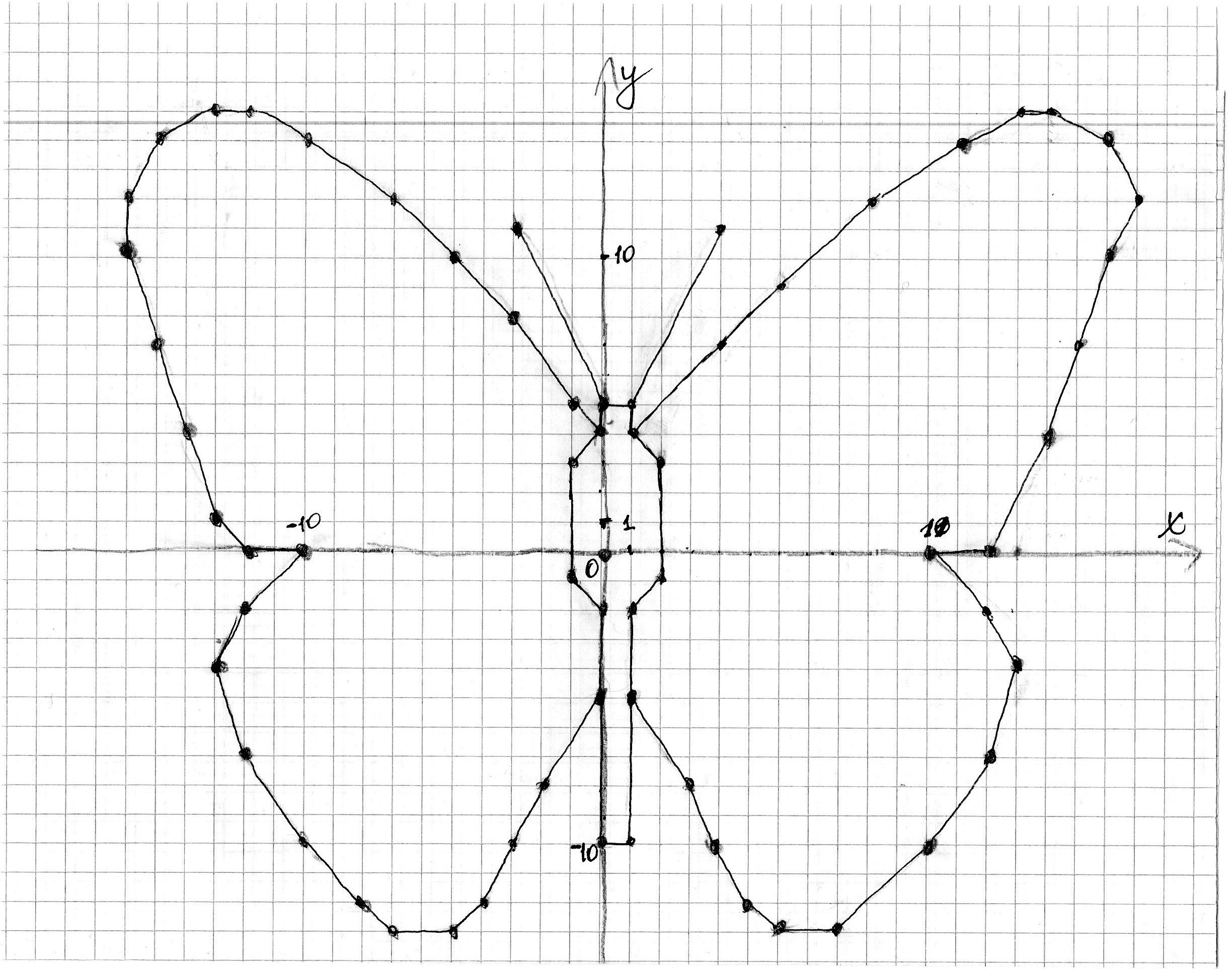 Бабочка симметрия нарисовать