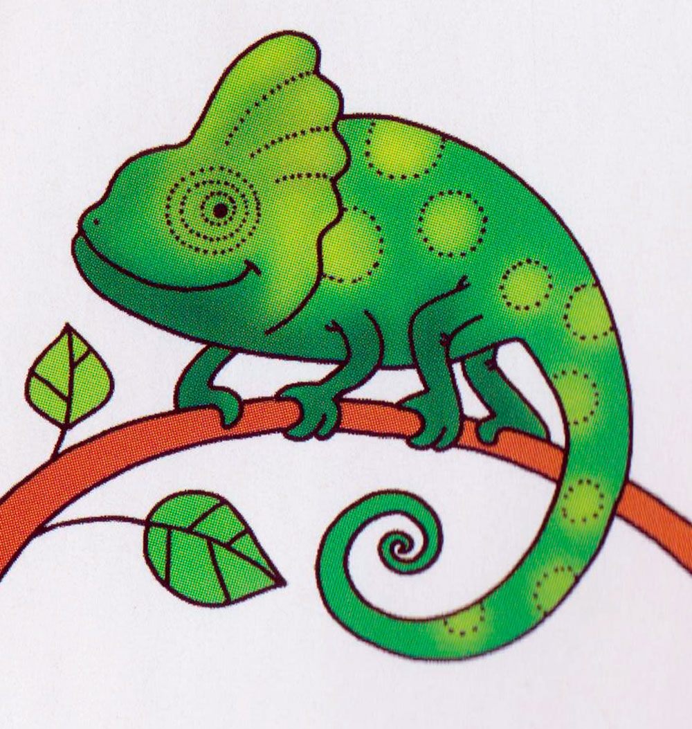 Хамелеон иллюстрация. Хамелеоны. Раскраска. Хамелеон раскраска для детей. Хамелеон для дошкольников. Распечатки хамелеон.