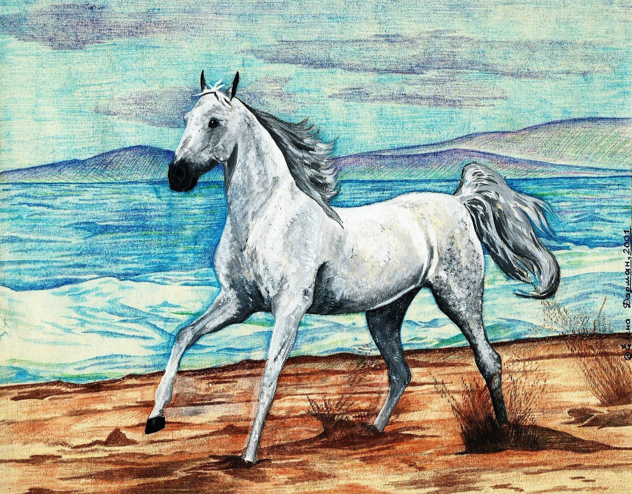 Просто лошадки. Лошадь рисунок. Красивые рисунки лошадей. Лошадь карандашом. Рисунки лошадей для срисовки.