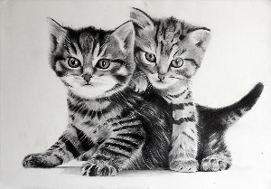 Два нарисованных котика