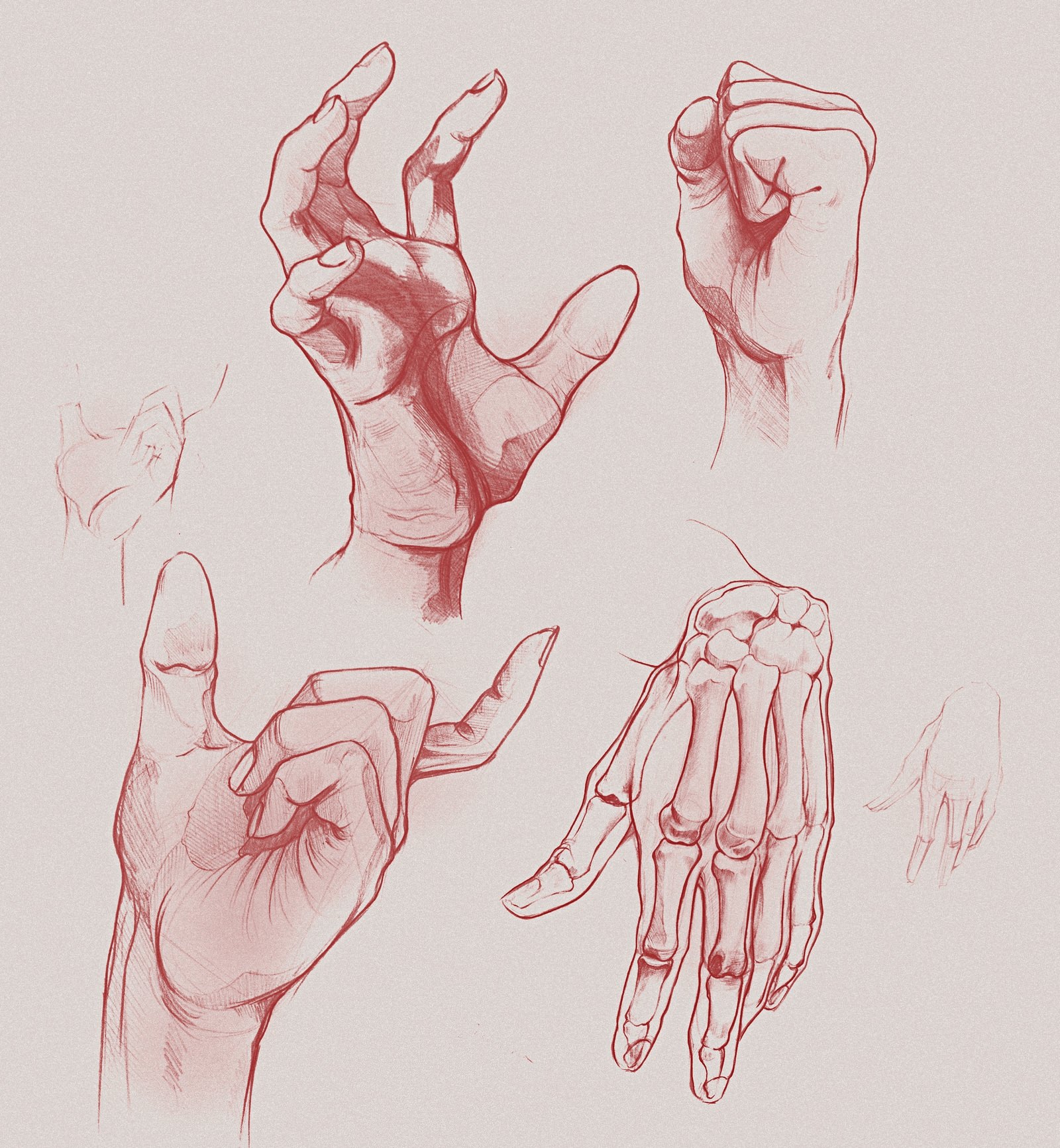 Референсы рук рисунок. Руки референс анатомия кисти. Анатомия рук для рисования. Руки скетч. Рука рисунок.