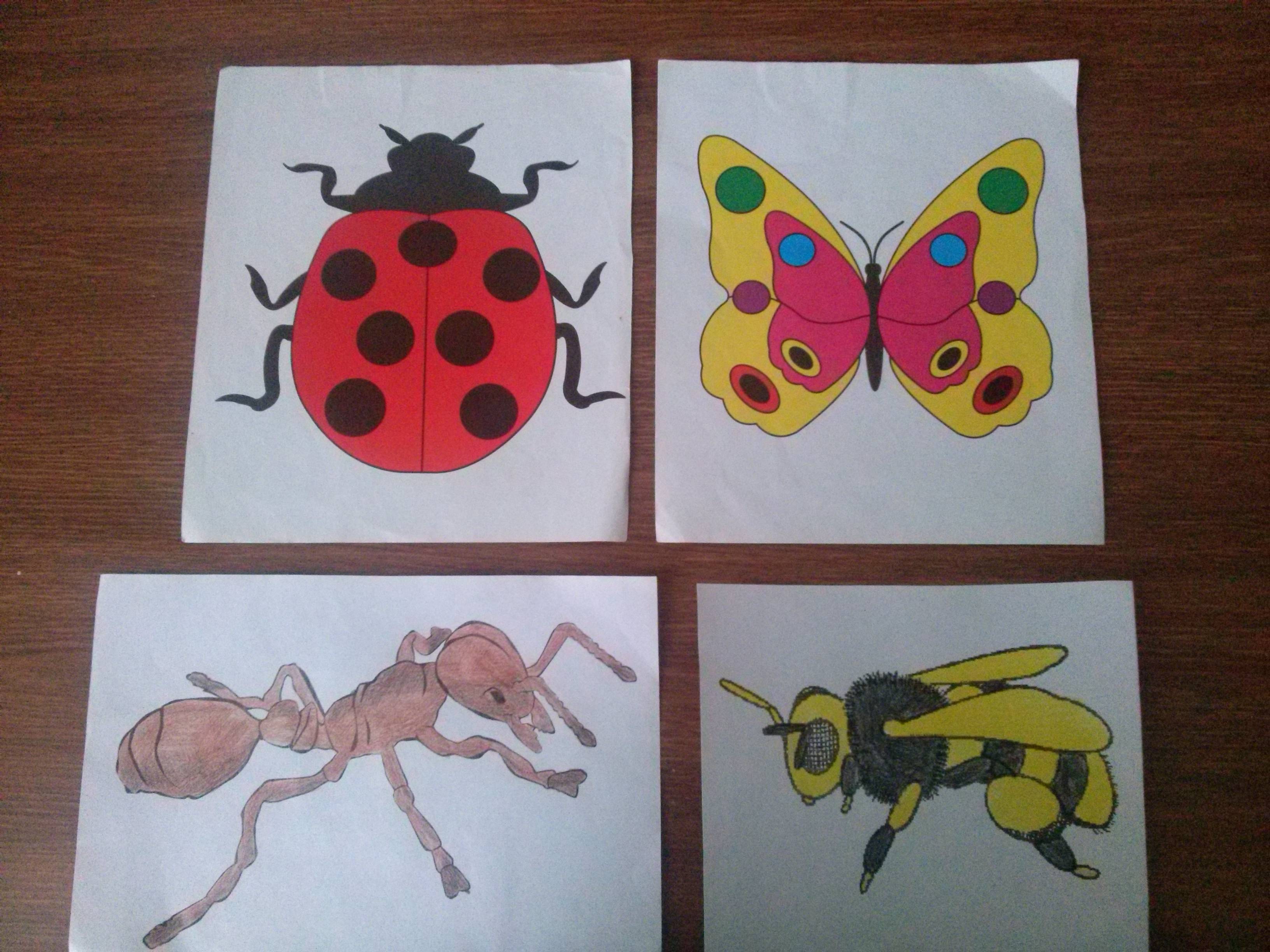 Первая младшая группа тема насекомые. Рисование насекомых в детском саду. Рисование насекомые старшая. Рисование насекомые в дет саду. Рисование в старшей группе на тему насекомые.