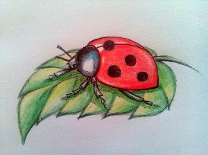 Рисунок на тему насекомые