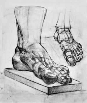 Гипсовая нога академический рисунок