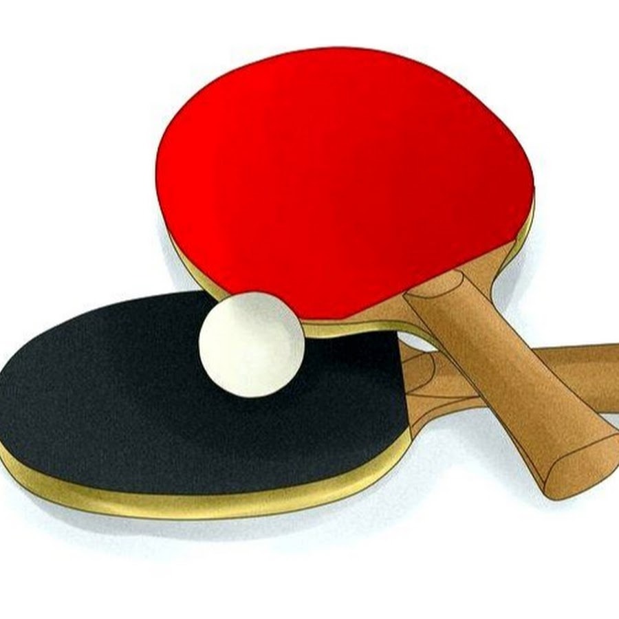 I played table tennis. Настольный теннис. Ракетка для настольного тенниса. Ракетки для настольного тенниса на белом фоне. Ракетка пинг понг вектор.