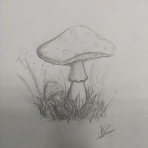 Легкие рисунки грибов