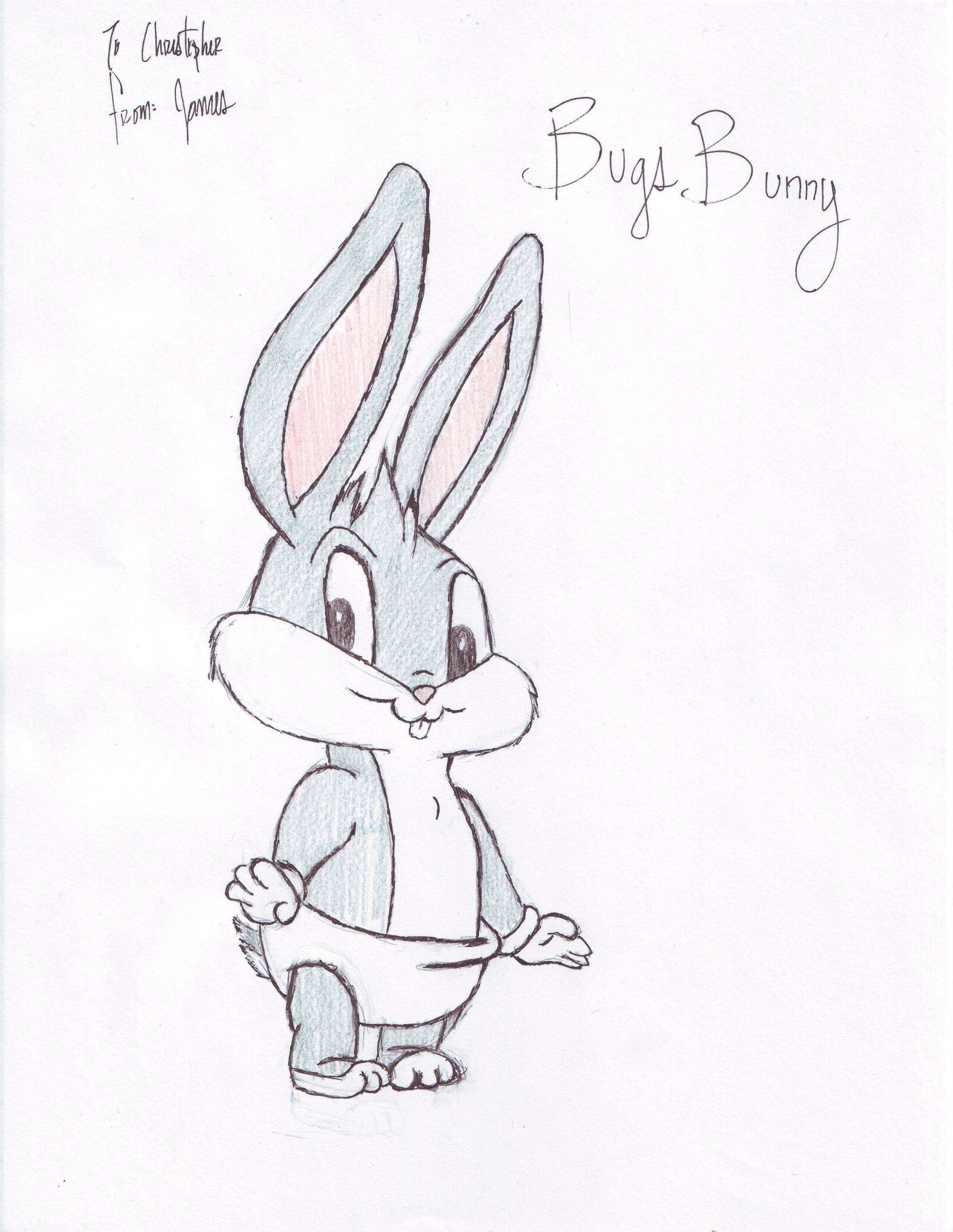 Зайка ручкой. Рисунок зайца карандашом для срисовки. Рисунок кролика для срисовки. Рисунок кролика карандашом для срисовки. Картинки для срисовки зайчики.