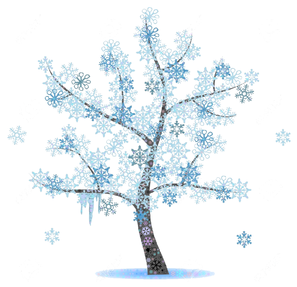 Зимние деревья на прозрачном фоне. Зимние деревья. Деревья зимой для детей. Деревья зимой для дошкольников. Сказочное дерево зимой.