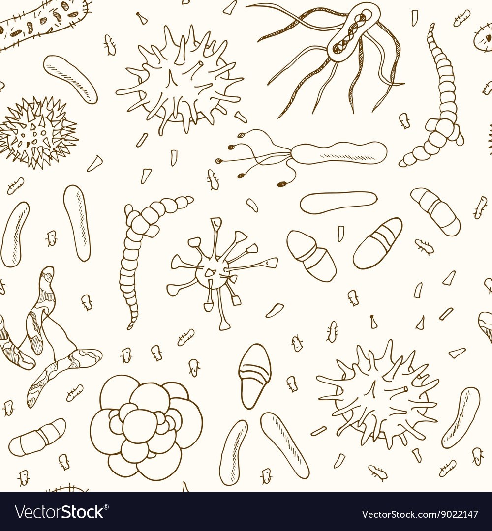 Бактерии рисунок карандашом