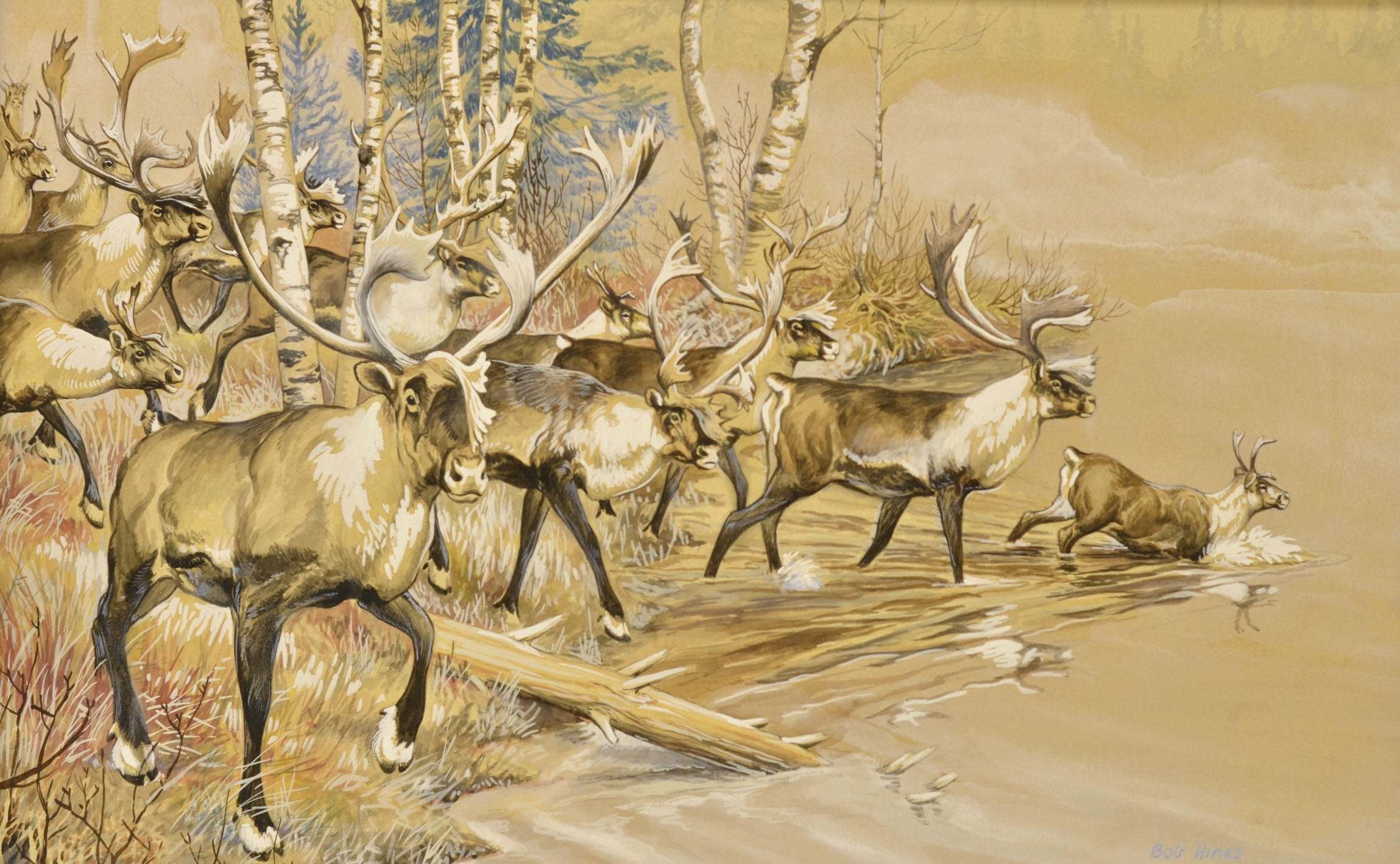 Занятие олень. Северная олениха тундра художник. Картины «Северные олени» важенка. Северный олень живопись. Северный пейзаж с оленями.