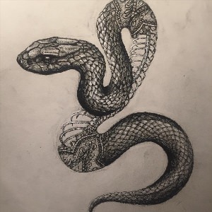 Скетч змеи