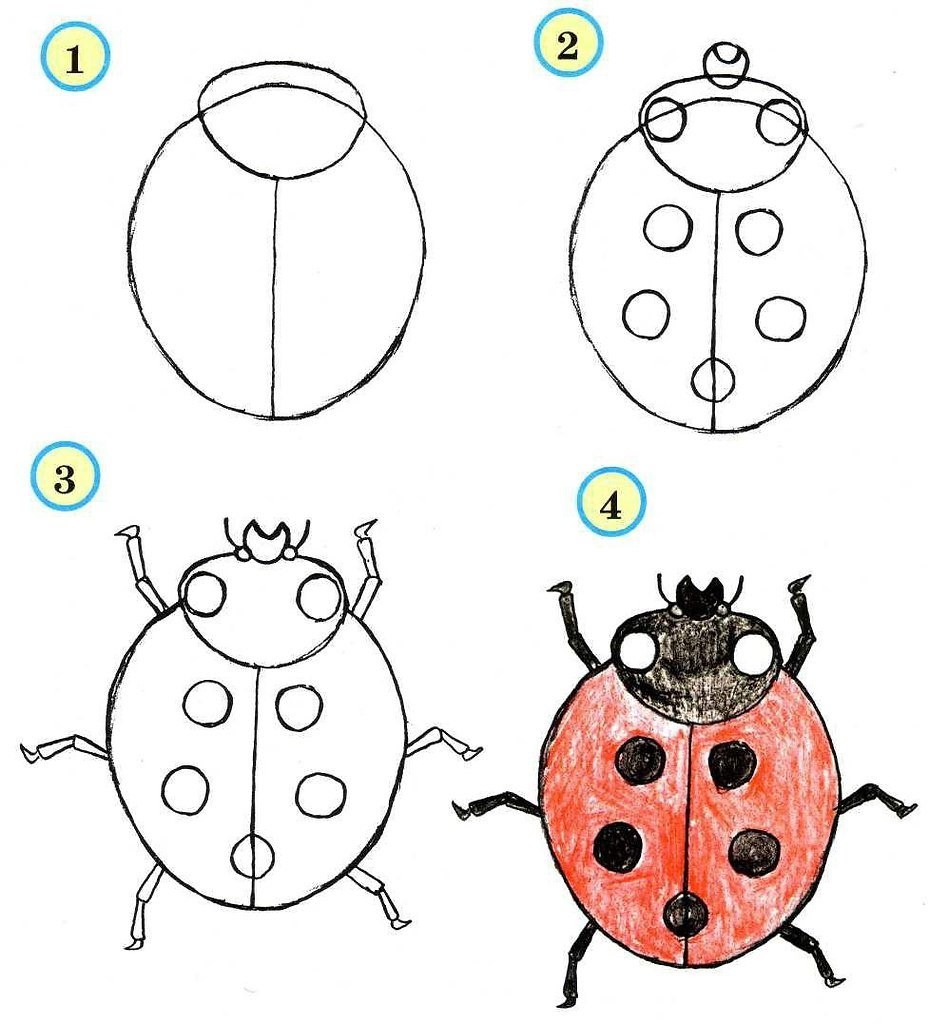 Рисунки насекомых для срисовки