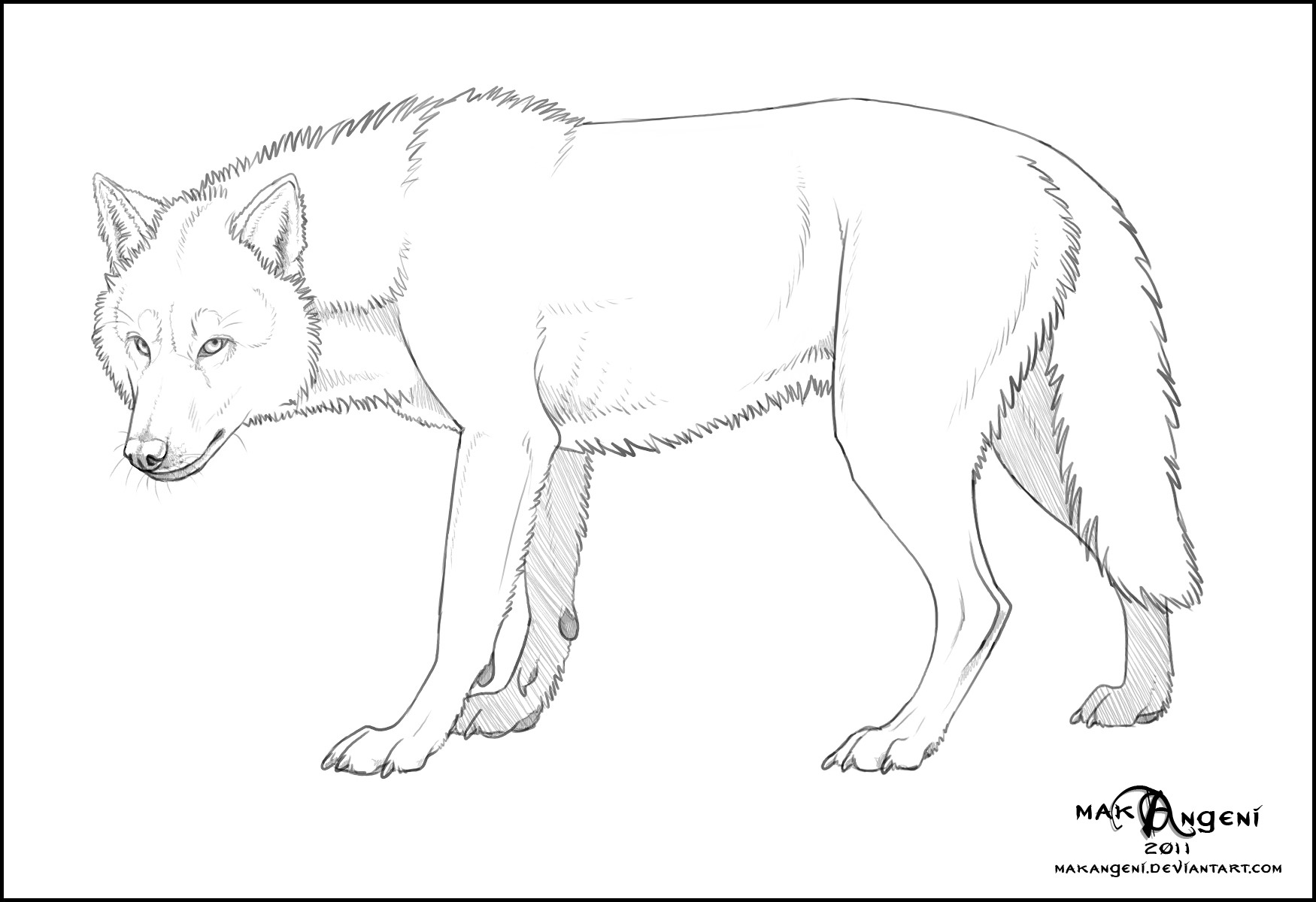 Изображение волка рисунок карандашом