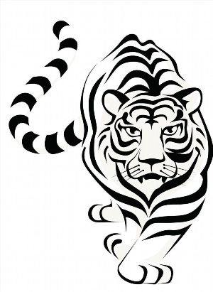 Жаккардовые узоры тигра