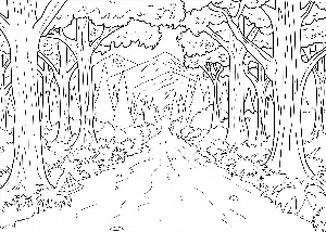 Смешанный лес рисунок карандашом