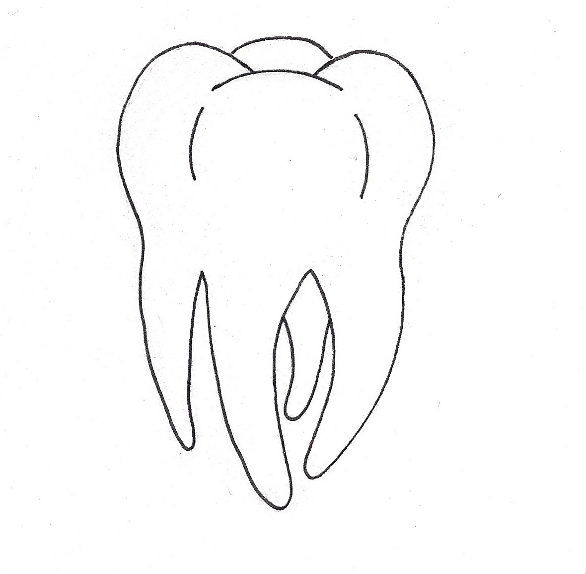 Как нарисовать зуб