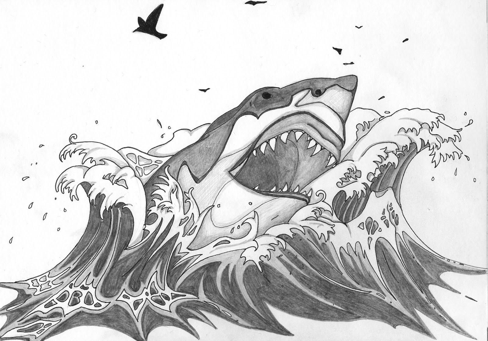 Рисунок акулы для срисовки. Акула эскиз. Акула набросок. Тату акула эскиз. Рисунок акулы карандашом для срисовки.