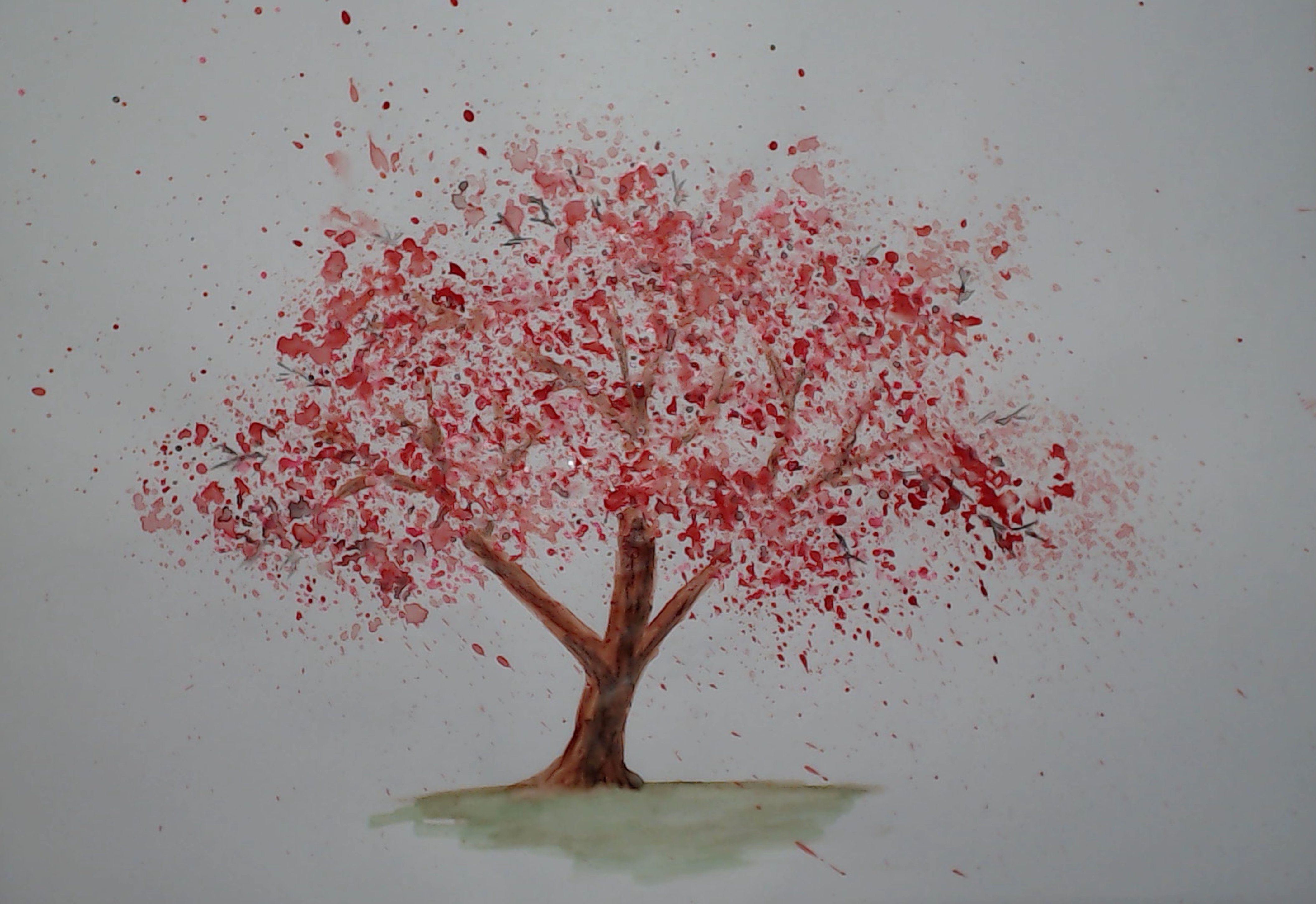 Как нарисовать дерево сакуры. Дерево для рисования. Дерево Сакуры красками. Рисование цветущего дерева красками. Краска для дерева.