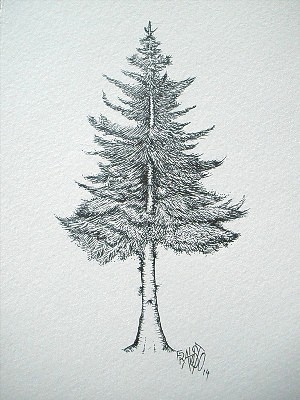 Елка дерево рисунок