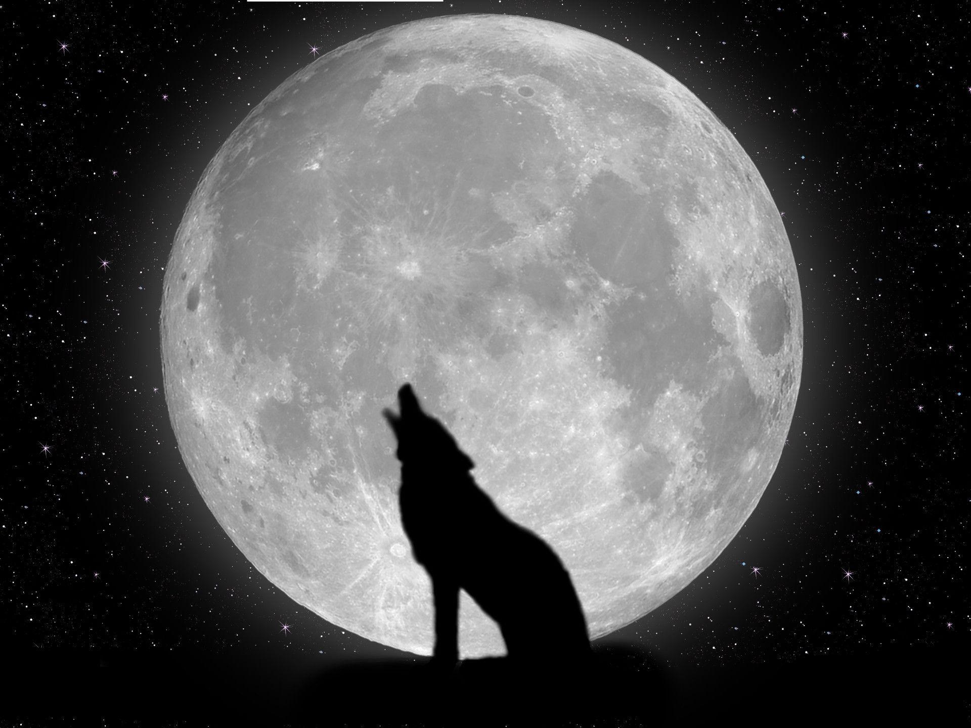 Волки воют на луну песни. Волк и Луна. Волк воет на луну. Волчица воет на луну. Лунные волки.