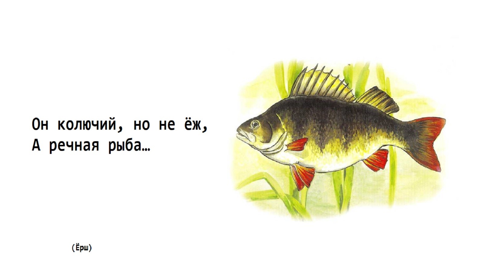 На крючок в этой реке попадается удивительная рыба окунь карась щука ерш схема предложения