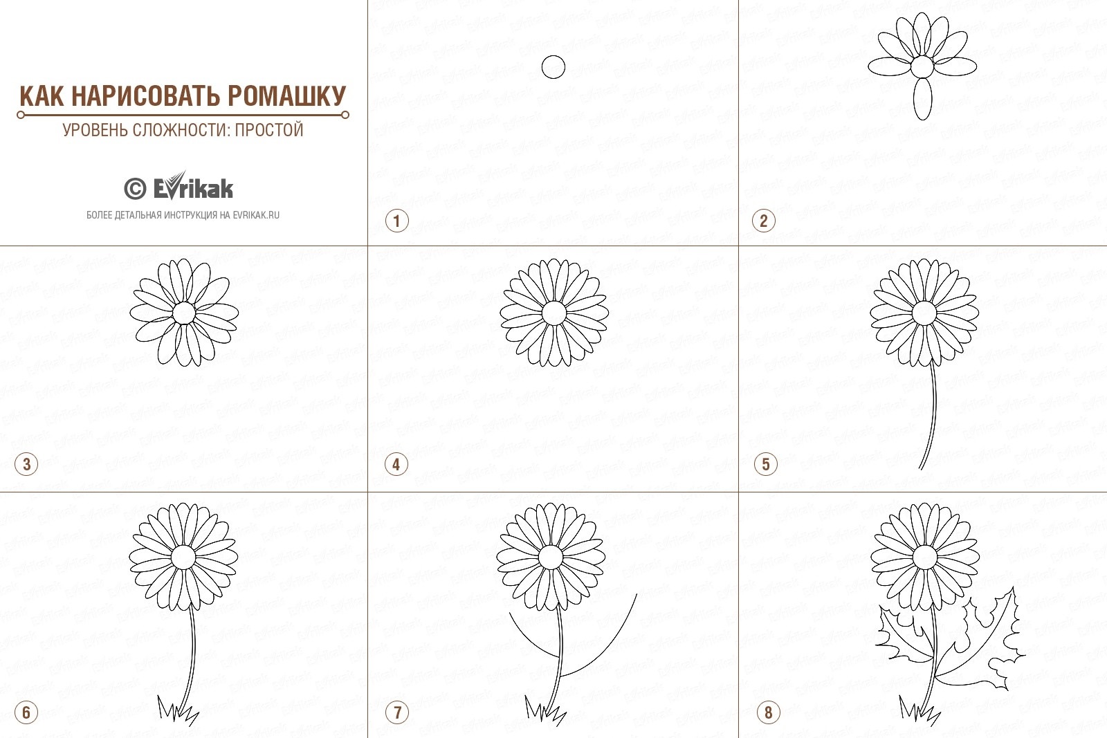Нарисовать ромашки мастер класс
