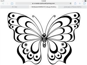 Раскраска бабочка контур