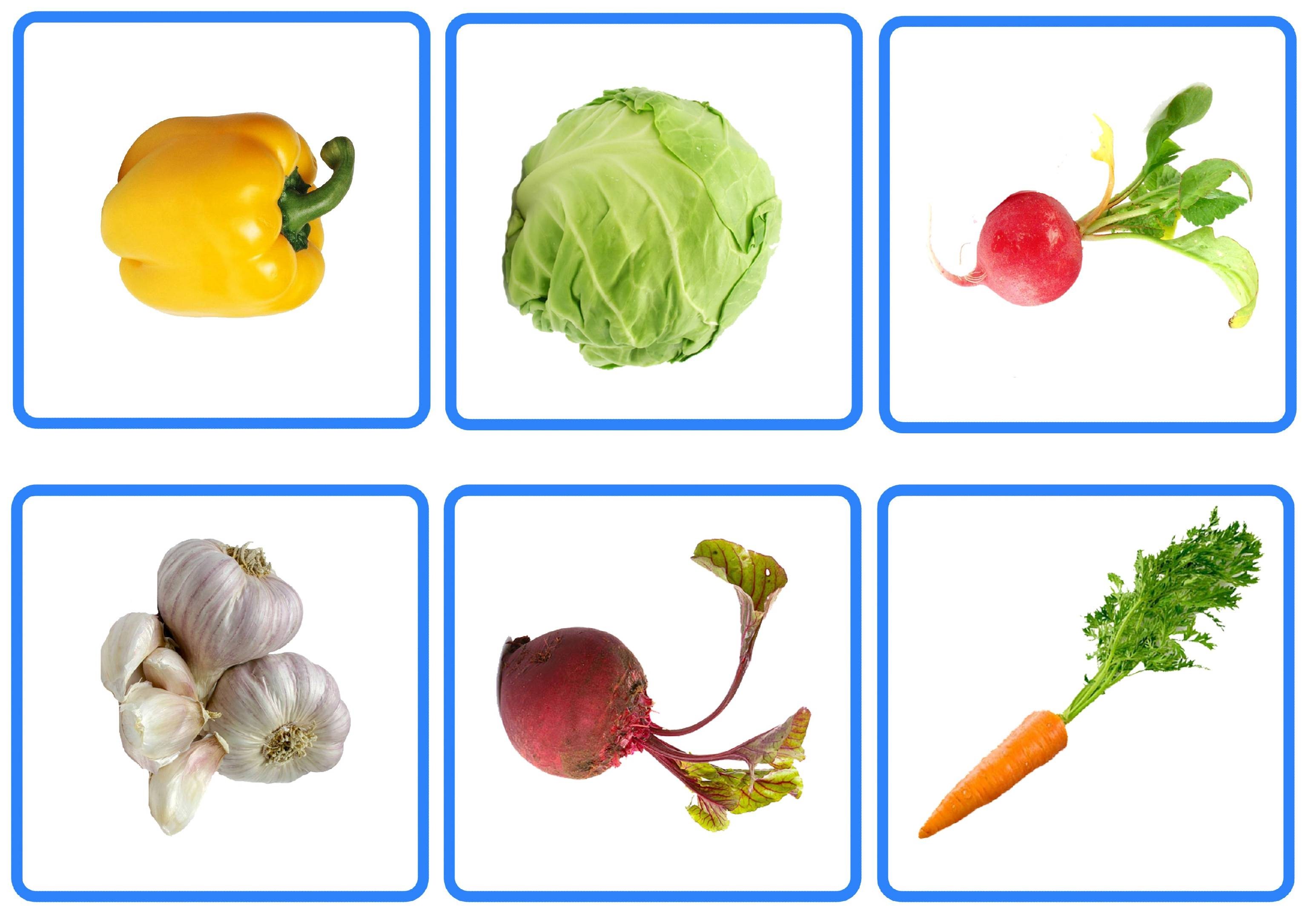 Овощи картинки для детей. Карточки. Овощи. Карточки овощей и фруктов. Карточки овощи для детей. Овощи для детей дошкольного возраста.