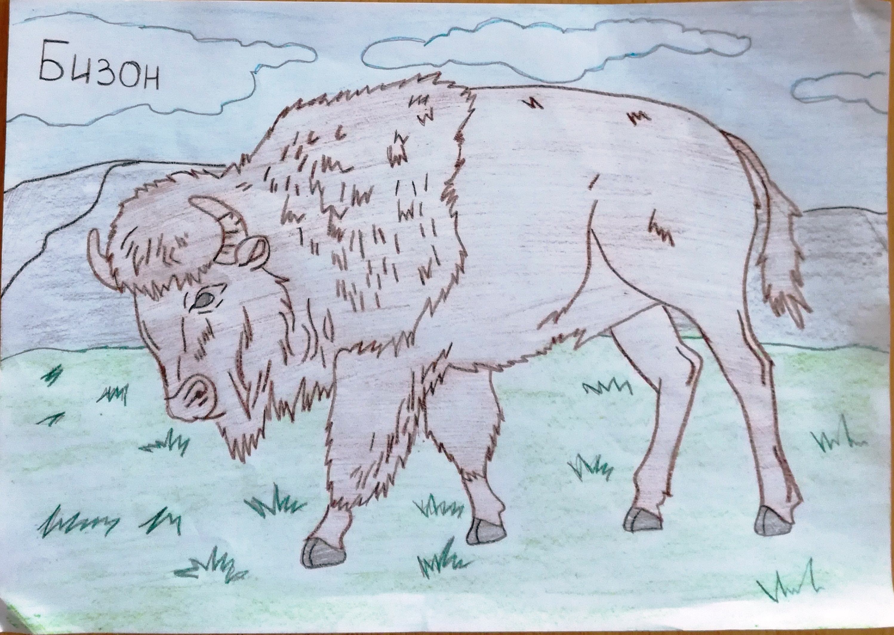 Животное рисунок 7 класс. Животные из красной книги рисунки. Рисунок на тему животные красной книги. Для рисования животные из красной книги. Животные красной книги рисунки детей.