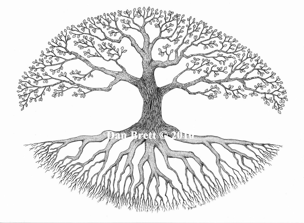 Дерево с корнями рисунок карандашом