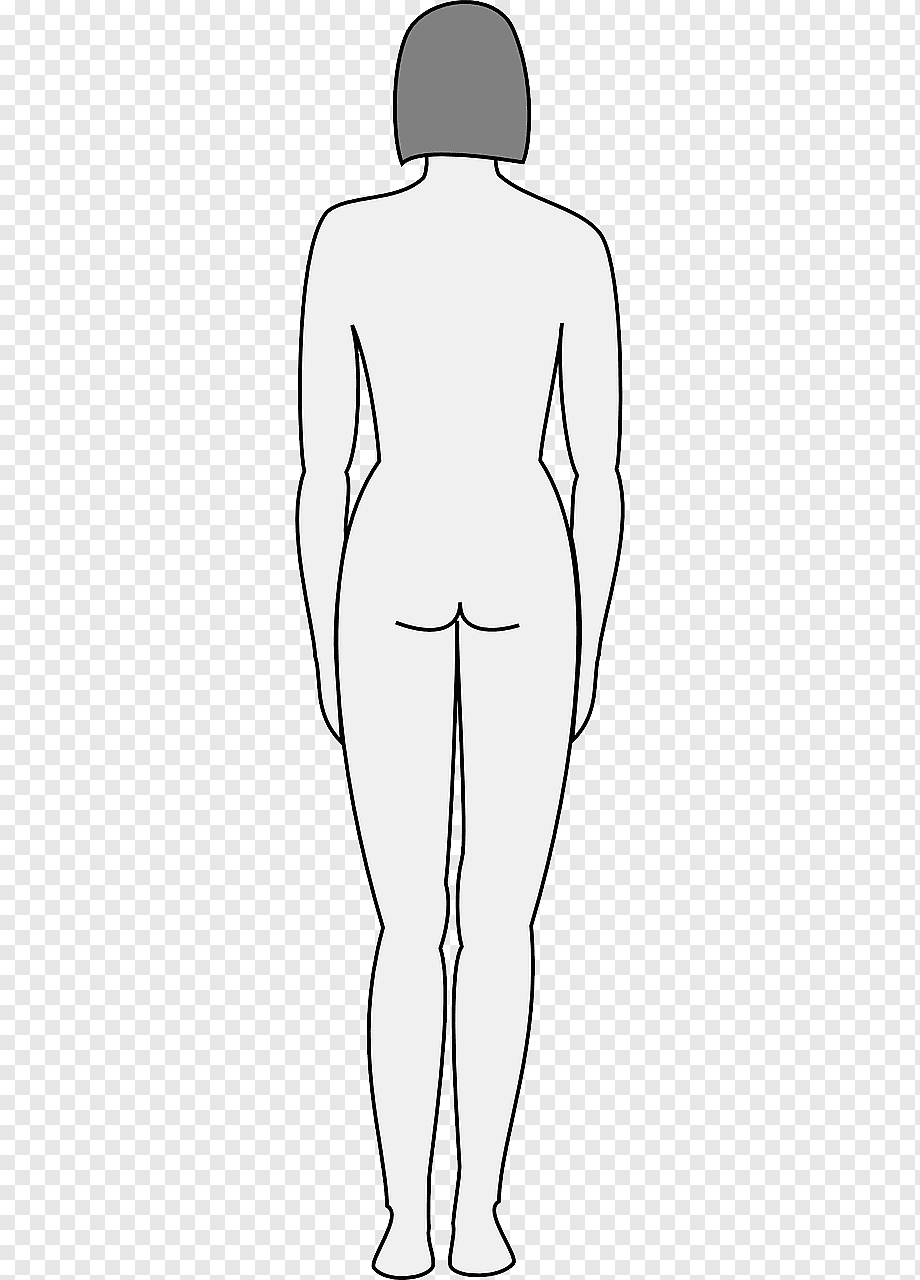 Очертание фигуры. Waist Clipart.