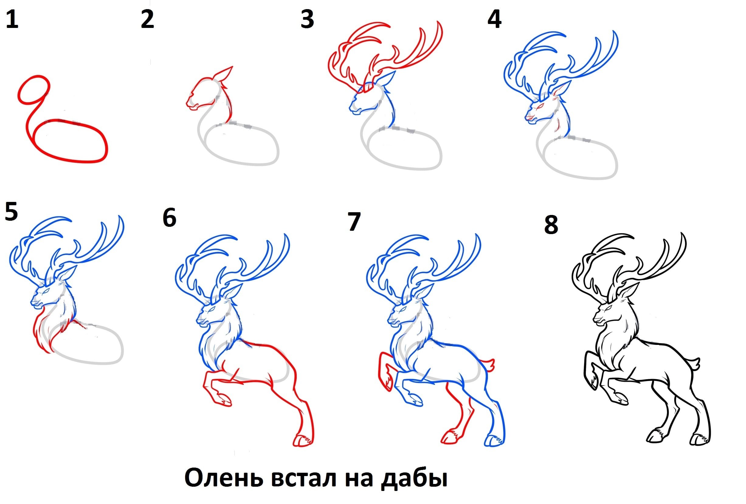 Животные по шагово рисовать