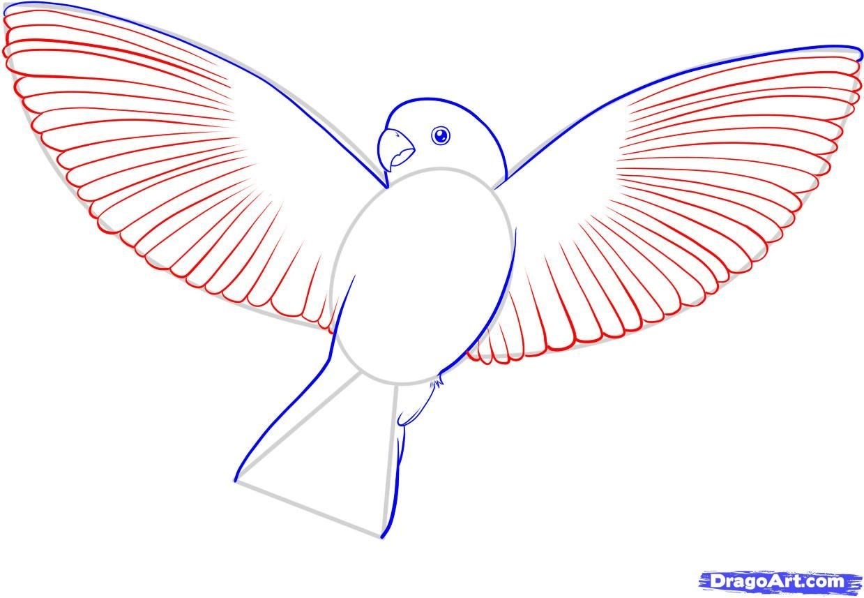 Рисунки птиц для срисовки легкие. Птица рисунок. Рисунки птиц для срисовки. Рисунок голубя для срисовки. Птица рисунок легкий.